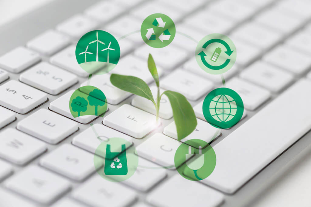 Environmental Protection in the IT Sector